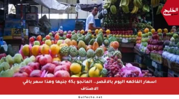 أسعار الفاكهة اليوم بالأقصر.. المانجو بـ45 جنيها وهذا سعر باقي الأصناف